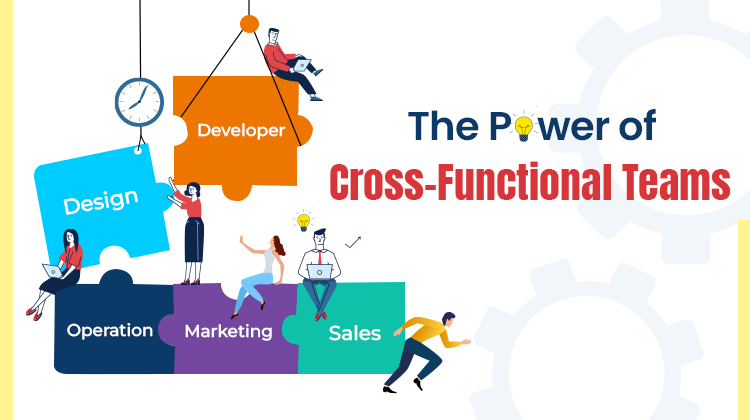 The Power of Cross-Functional Teams