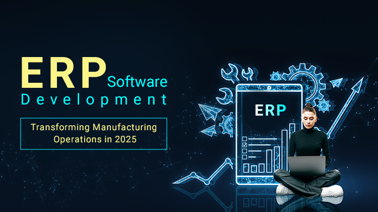 ERP Software Development Company