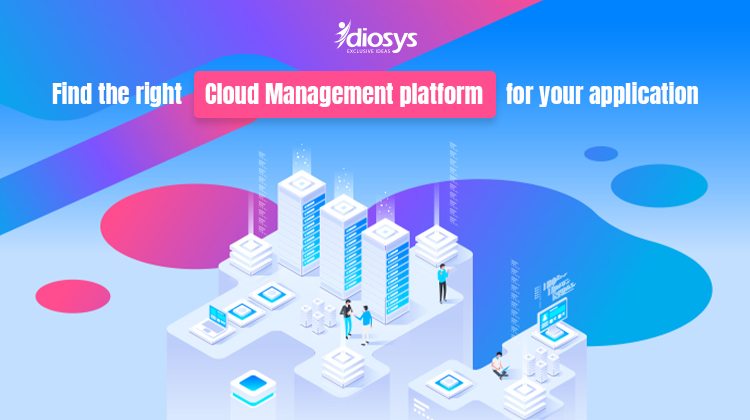 cloud management expert