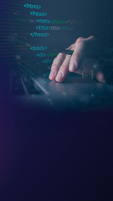 web development company 