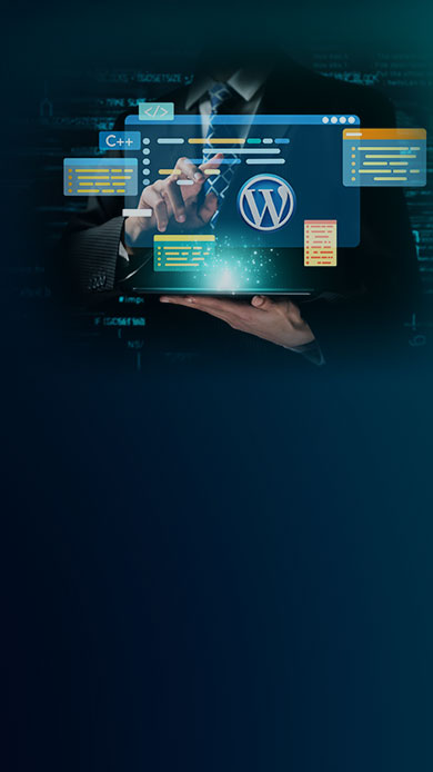 Custom WordPress Solutions 