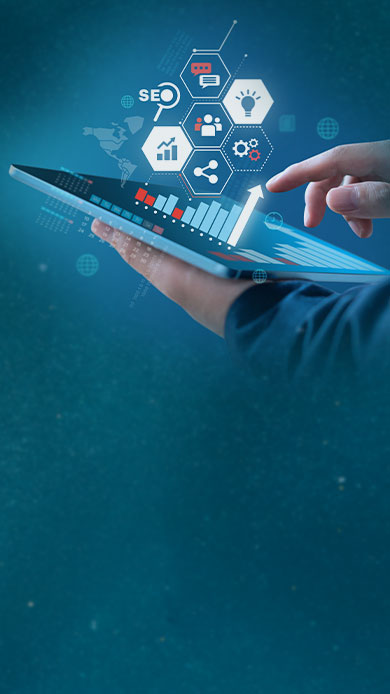 Expert SEO Strategies